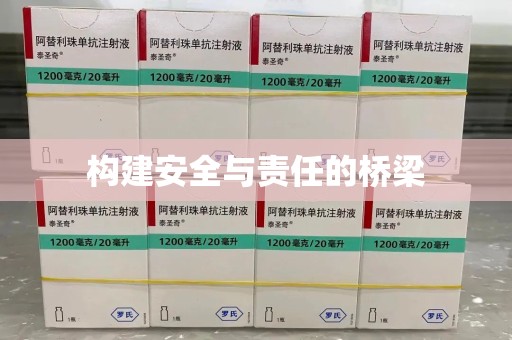 唐山构建安全与责任的桥梁