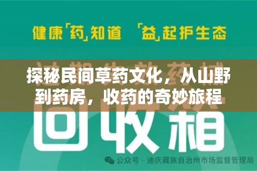 唐山探秘民间草药文化，从山野到药房，收药的奇妙旅程